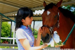 ニッケ乗馬クラブ　クレイン加古川