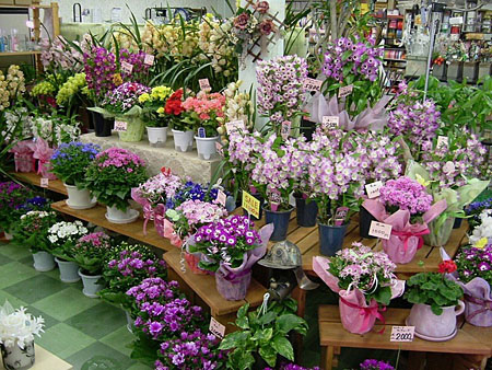 フラワーショップ　ROMAN