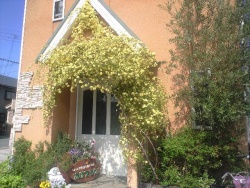 ちょっと不思議な創作料理　おぼえてね